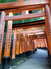 Sanctuaire Fushimi Inari-taisha
